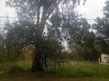 Terreno · 1200m² · Lote en Venta en El Rodeo Etcheverry