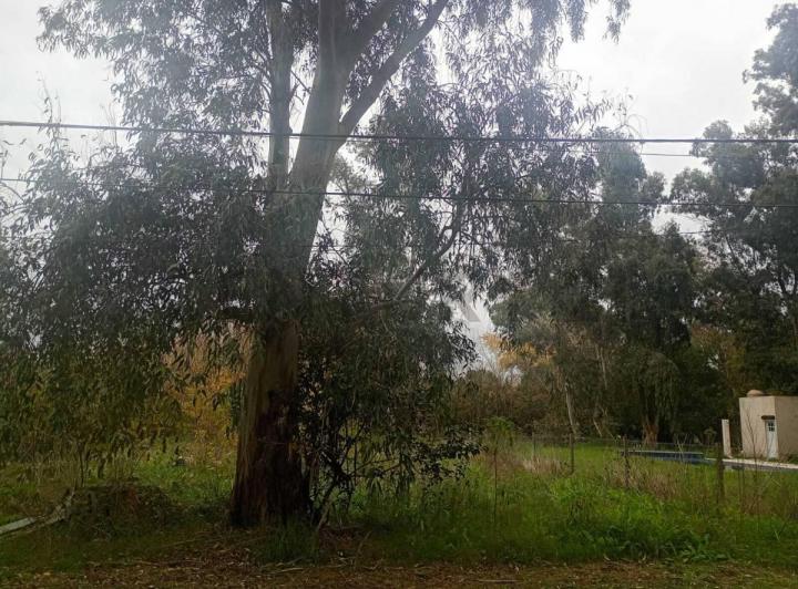 Terreno · 1200m²