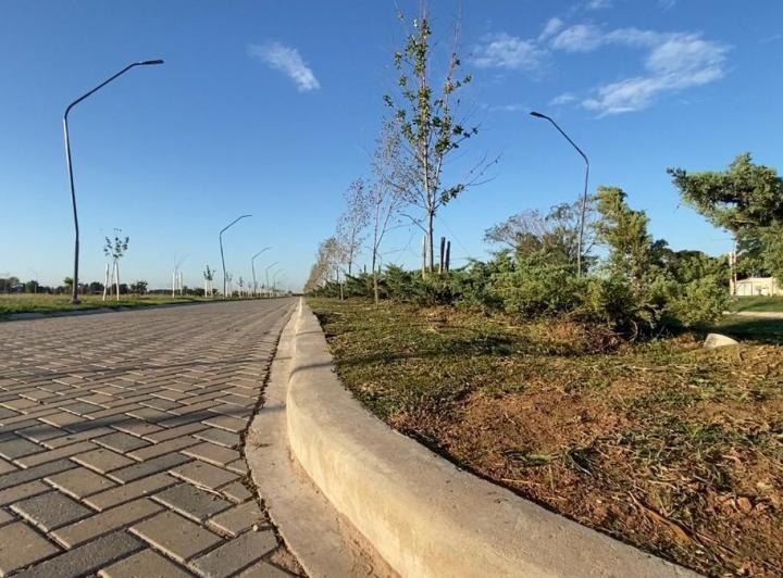 Terreno · 493m²
