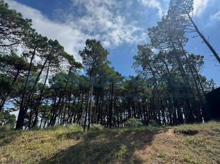 Terreno · 974m²