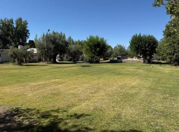 Terreno , Rodeo del Medio · Finca en Venta en Maipú - 2,4 Has - con Importantes Mejoras, Calle Nicolás Serpa