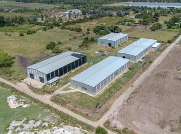 Depósito · 7500m² · 2 Ambientes · Venta - Predio Industrial - Pilar - 20.000 m² Totales. 7.500 m² Cubiertos en 4 Naves.