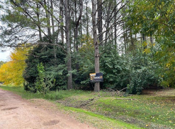 Terreno · 2437m²