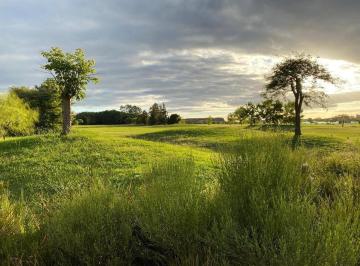 Terreno · 1579m² · Mmc. Lote en Venta en Medal Country Club, Pilar