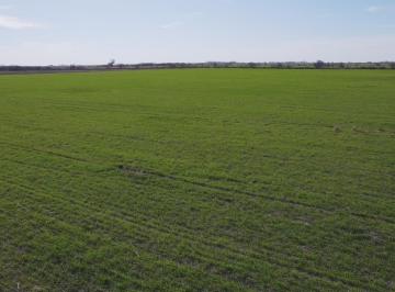 Campo · 1090000m² · Terreno - Irigoyen