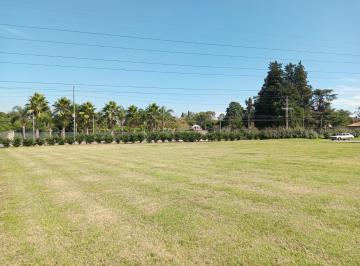 Exclusividad Lote 158 · Venta Lote / Terreno, Los Cardos, Pilar Lote 158