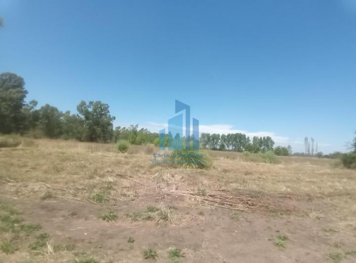Terreno · 1000m² · 1 Ambiente · 1 Cochera