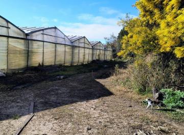 Campo , La Plata · Fracción en Venta en La Armonia