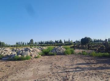 Terreno · 14700m² · Greenwood Inmobiliaria Vende Importante Terreno en La Zona de Maipu Mendoza