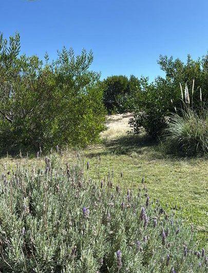 Terreno · 4265m²