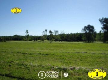 Imagen 1 · La Colina 5000 m²
