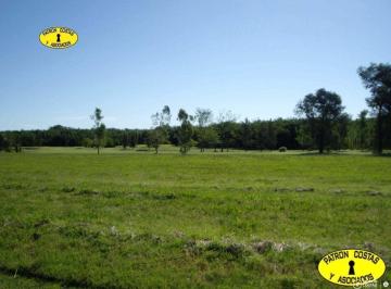 Terreno · 5000m² · La Colina 5000 m²