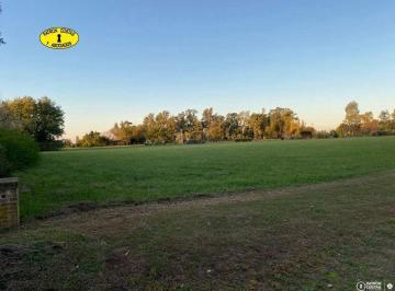 Imagen 1 · Comarcas Santa Matilde Lote 10000 m² Ubicacion Central