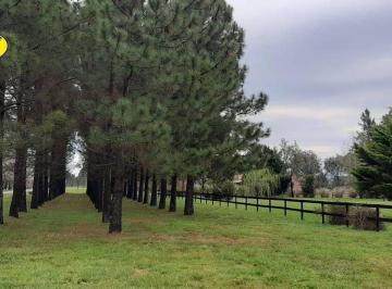 Casa · 350m² · 4 Dormitorios · 2 Cocheras · Alq Casa Pileta 4d. Las Lilas Lujan T.11200 m²