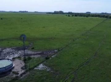 Terreno · 1680000m² · Campo en Venta en Loma Verde