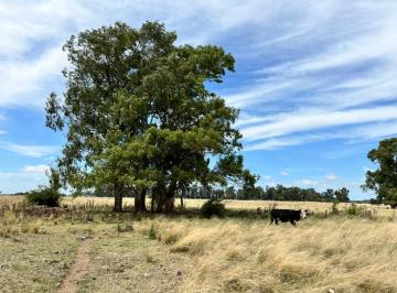 Campo · 903250m² · Campo en Venta en Veronica, Bsas