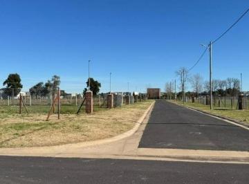 Terreno · 420m² · Mmc. Hermoso Lote en Venta en Nueva Zelaya II, Pilar