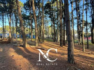 Terreno · 1900m² · Terreno Lote Doble en Bosque – Costa Esmeralda, Gran Superficie Para Proyecto