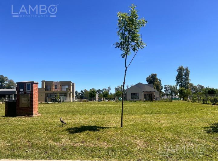 Terreno · 477m²