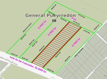 Campo · 223856ha · Excelente Fracción de 22,39 Ha - Ruta 226 Km 17