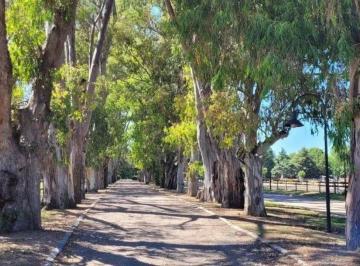 Terreno · 1000m² · Terreno en Venta, 1000 m², en Fincas Exclusivas El Campo, Cardales, Gba Norte