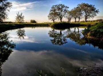 Terreno · 1000m² · Terreno en Venta, 1000 m², en Fincas Exclusivas El Campo, Cardales, Gba Norte