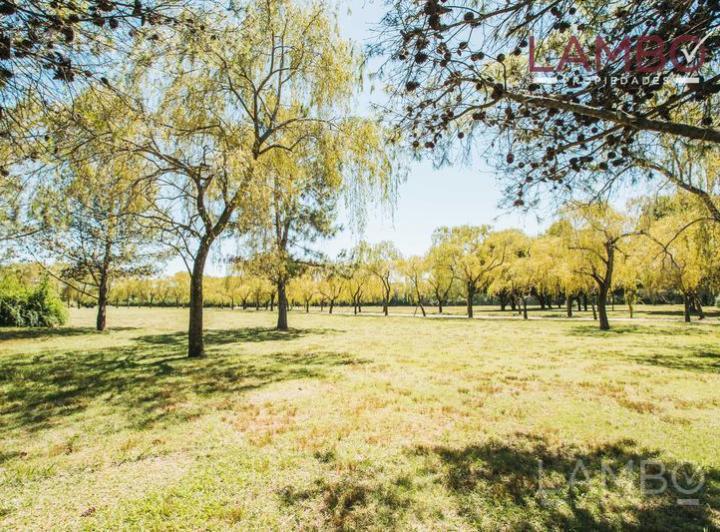 Terreno · 2320m² · 1 Ambiente