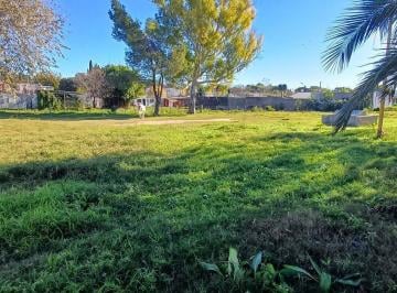 Terreno · Terreno