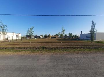 Terreno · 1278m² · Terreno en Venta - 1278 m² - Fincas de San Vicente