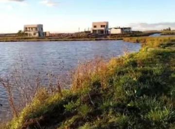 Terreno · 700m² · Terreno en Venta - 700 m² - Campos de La Enriqueta
