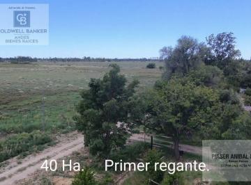 Campo · 400000m² · Campo en Villa Atuel