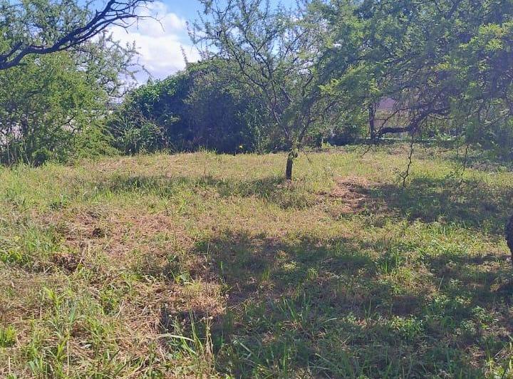 Terreno · 562m²