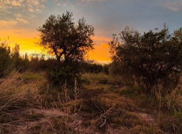 Terreno , Maipú · Vendo Lote en Coquimbito