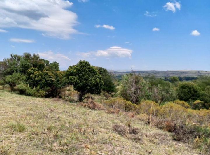 Terreno · 600m²