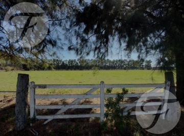 Terreno · 884m² · Financiación en 40 Cuotas de 800 Dólares - Venta de Lote en Nordeste San Pedro