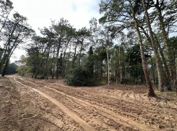 Terreno · 1200m² · Lote en Carilo "barrio Enebros" - Todos Los Servicios