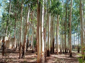 Terreno en Venta   · Arbolado Lote en Bosque de Eucaliptus. en La Aldea Club de Campo