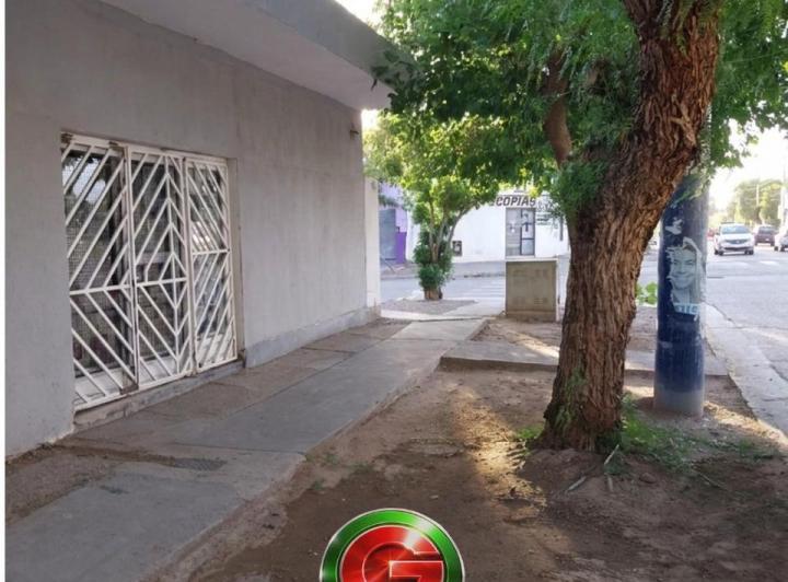 Local comercial · 45m² · 1 Ambiente
