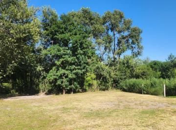 Foto · Lote a La Venta en Comuna de San Roque. (L415)