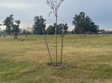 Terreno · 607m² · San Pablo Chico Oportunidad