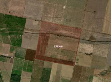 Campo · 1790000m² · Campo de 179has en Sa Pereyra