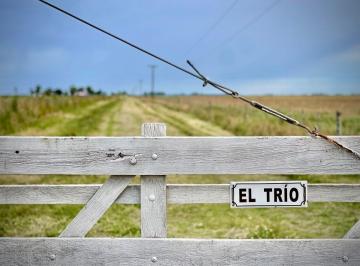 Campo , Tandil · Campo en Venta con 176 Ha en Tandil