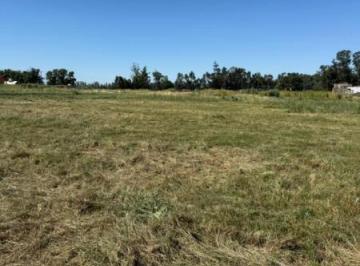 Imagen1 · Lote en Venta - San Francisco y Newton – Tandil