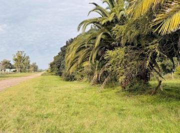 Terreno · 1800m² · Venta de Terreno de 1800 m² Arbolado en Bella Vista, Concepción del Uruguay, Entre Ríos