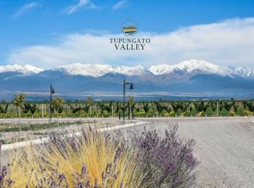 Terreno , La Arboleda · Oportunidad - Lotes en Venta Tupungato Valley