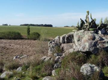 Imagen1 · Venta de Chacra en Tandil