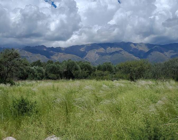 Terreno · 2500m²