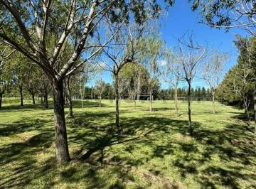 Terreno · 1082m² · Lote en Venta en Brandsen