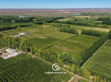 Campo · 240000ha · Venta Chacra de 24 Hs. Productivas Picada 7, San Patricio del Chañar