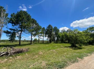 Terreno · 877m² · Terreno en Solares del Carcaraña - Vista Parcial Al Rio